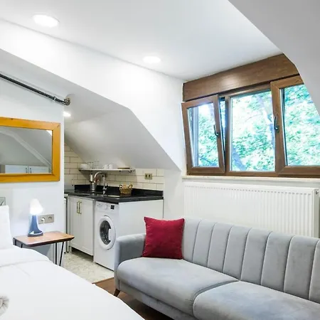 Apartment Rooftop Studio W/ac 5 Min To Tophane Tram Station *