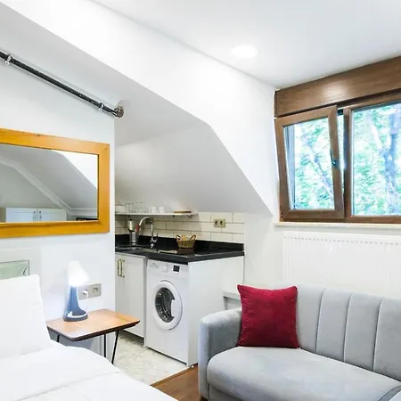 Rooftop Studio W/ac 5 Min To Tophane Tram Station דירה